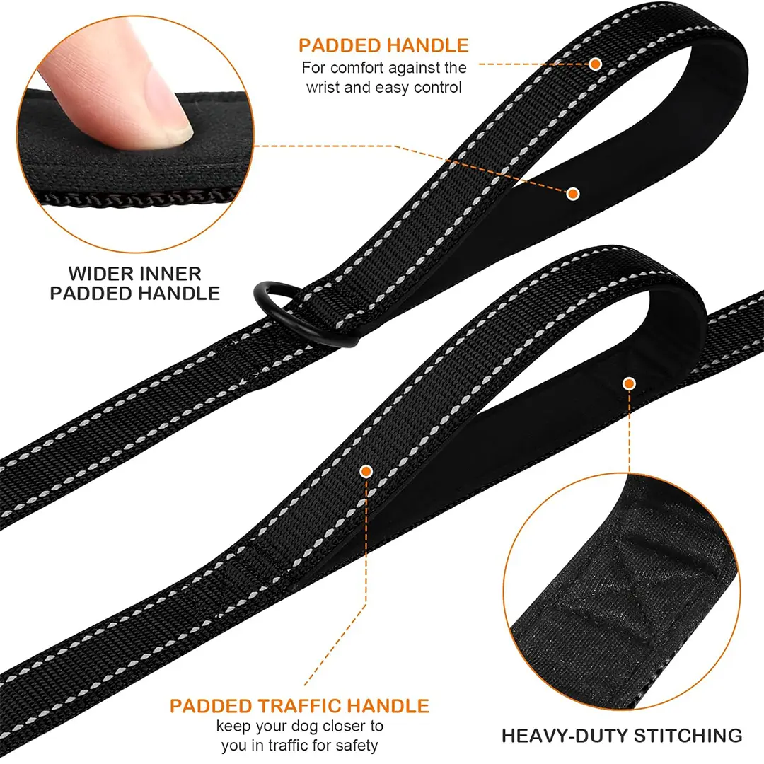 Double Handle Webbing Leash Heavy Duty Dog Leash 4FT 5FT 6FT for Small Large  Dogs – aurothpets