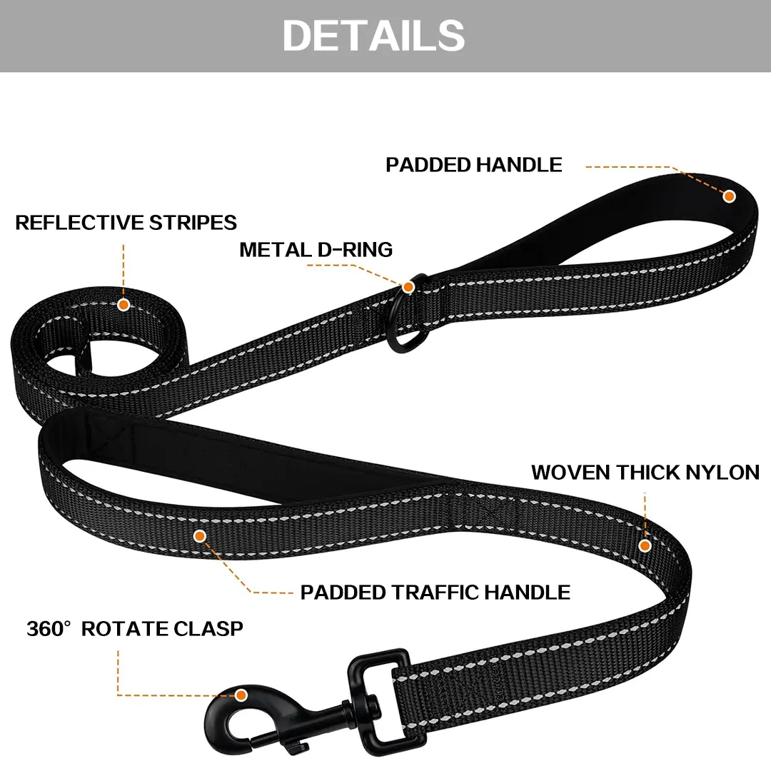 Double Handle Webbing Leash Heavy Duty Dog Leash 4FT 5FT 6FT for
