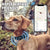 Airtag Dog Collar Holder for Medium Large Dogs