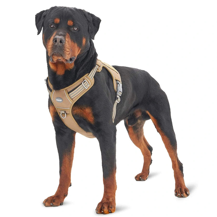 Auroth Dog Harness - Tactical & Training Reflect Harness Gray / Small