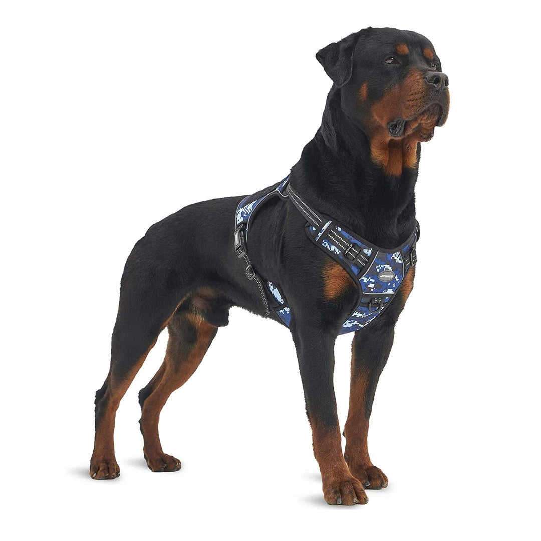 Dog clearance harness rottweiler