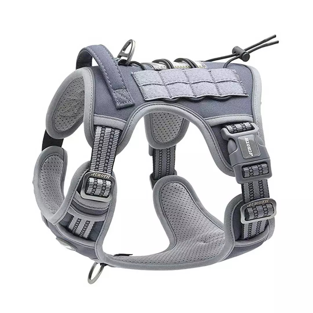 Arete Heavy Duty Leather Dog Harness 