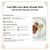 Pokini 12-Piece Dinnerware Sets, Plates and Bowls Dish Sets for 4, Modern Luxury Gold Rim Porcelain Dishware Sets