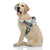 Auroth No Pull Dog Harness for Small Medium Large Dogs