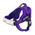 Auroth No Pull Dog Harness Purple