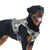 Training Harness