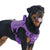 Training Harness
