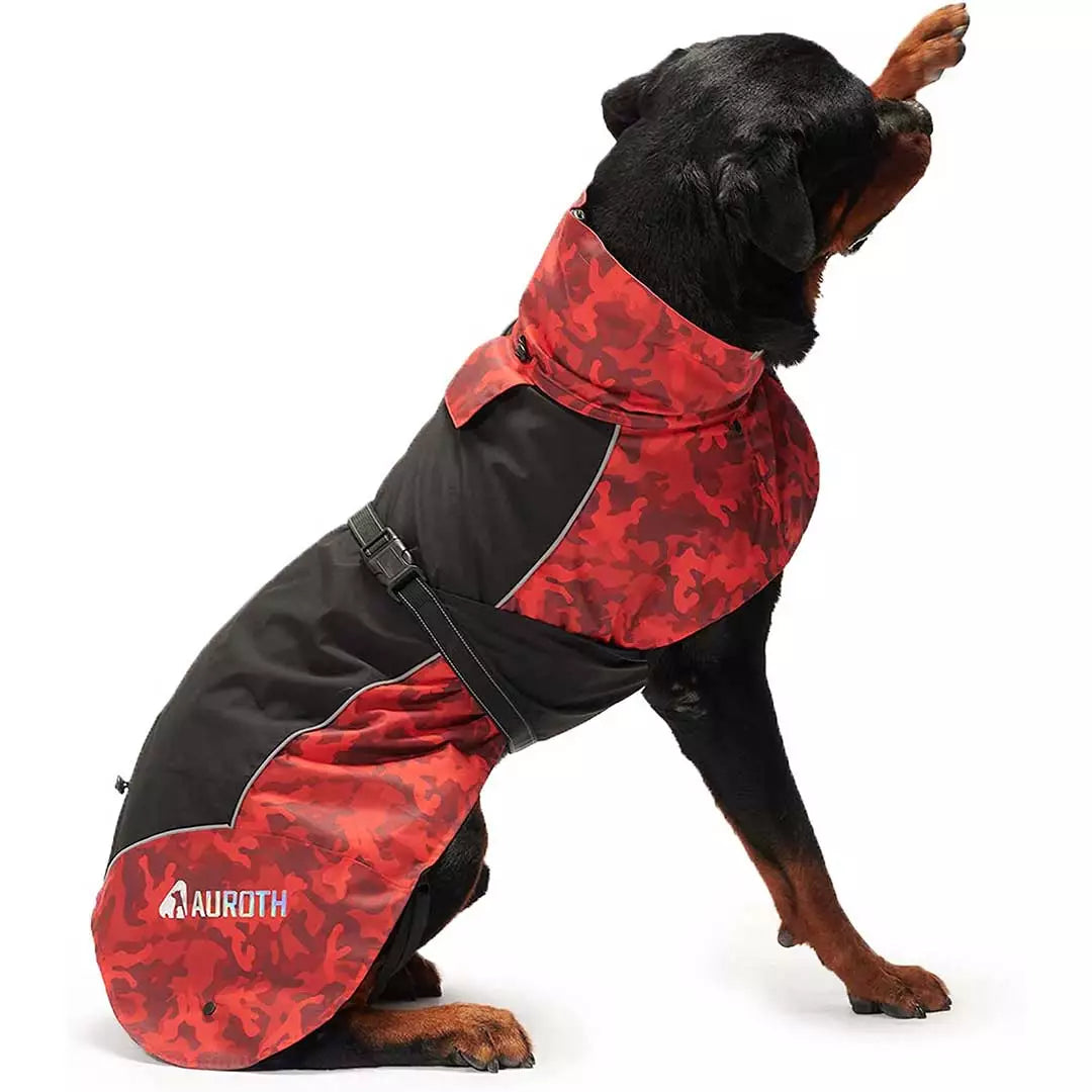 Auroth dog raincoat