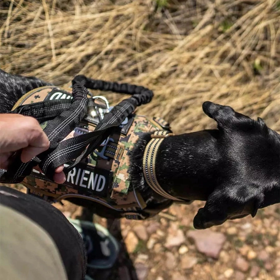 Velcro patches sales for dog vests