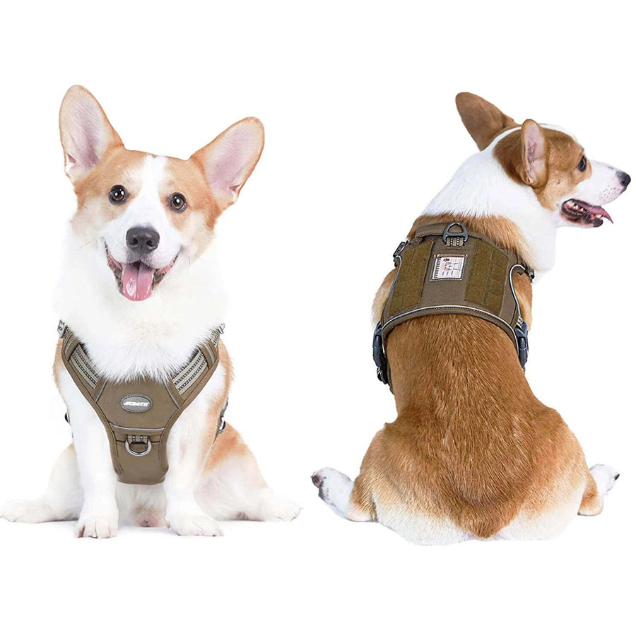Corgi online tactical vest