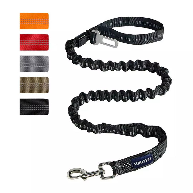 Bungee leash for clearance large dogs