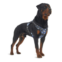 Best top tracking harness