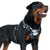 Quality K9 Dog Gear, Tracking & Training Harness for Dogs Adventure