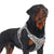 Auroth Service Dog Harness for Large Medium Dogs No Pull Adjustable K9 Working Vest