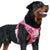 Auroth Best Tracking & Training Harnesses for Large Dogs, Quality K9 Gear